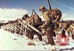 Image of US Army mountain troops ski Colorado United States USA, 1943, second 36 stock footage video 65675064972