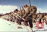 Image of US Army mountain troops ski Colorado United States USA, 1943, second 38 stock footage video 65675064972