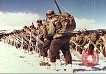 Image of US Army mountain troops ski Colorado United States USA, 1943, second 39 stock footage video 65675064972
