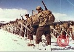 Image of US Army mountain troops ski Colorado United States USA, 1943, second 40 stock footage video 65675064972