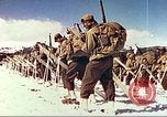 Image of US Army mountain troops ski Colorado United States USA, 1943, second 41 stock footage video 65675064972