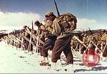 Image of US Army mountain troops ski Colorado United States USA, 1943, second 42 stock footage video 65675064972