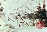 Standbild US Army mountain Truppen Zweiten Weltkrieg Colorado United States USA, 1943, aus Sekunde 58 historischem Filmmaterial Videoclip 65675064973