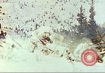 Standbild US Army mountain Truppen Zweiten Weltkrieg Colorado United States USA, 1943, aus Sekunde 59 historischem Filmmaterial Videoclip 65675064973