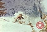 Image of mountain troops Colorado United States USA, 1943, second 1 stock footage video 65675064974