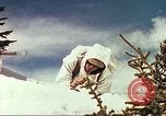 Image of mountain troops Colorado United States USA, 1943, second 9 stock footage video 65675064974