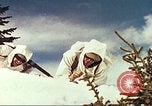 Image of mountain troops Colorado United States USA, 1943, second 10 stock footage video 65675064974