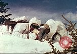 Image of mountain troops Colorado United States USA, 1943, second 16 stock footage video 65675064974