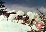 Image of mountain troops Colorado United States USA, 1943, second 18 stock footage video 65675064974