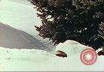 Image of mountain troops Colorado United States USA, 1943, second 46 stock footage video 65675064974