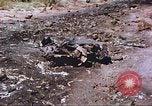 Image of F-100 Super Sabre crash New Mexico United States USA, 1957, second 18 stock footage video 65675064975