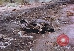 Image of F-100 Super Sabre crash New Mexico United States USA, 1957, second 20 stock footage video 65675064975