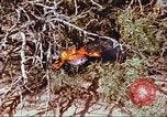 Image of F-100 Super Sabre crash New Mexico United States USA, 1957, second 53 stock footage video 65675064975