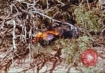 Image of F-100 Super Sabre crash New Mexico United States USA, 1957, second 54 stock footage video 65675064975