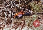 Image of F-100 Super Sabre crash New Mexico United States USA, 1957, second 55 stock footage video 65675064975