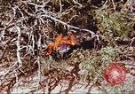 Image of F-100 Super Sabre crash New Mexico United States USA, 1957, second 56 stock footage video 65675064975