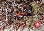 Image of F-100 Super Sabre crash New Mexico United States USA, 1957, second 57 stock footage video 65675064975