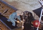 Image of rocket sled test New Mexico United States USA, 1958, second 52 stock footage video 65675064976
