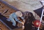 Image of rocket sled test New Mexico United States USA, 1958, second 57 stock footage video 65675064976