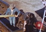 Image of rocket sled test New Mexico United States USA, 1958, second 61 stock footage video 65675064976