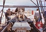 Image of rocket sled test New Mexico United States USA, 1958, second 57 stock footage video 65675064978