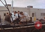 Image of bear on rocket sled test New Mexico United States USA, 1958, second 44 stock footage video 65675064985