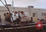 Image of bear on rocket sled test New Mexico United States USA, 1958, second 45 stock footage video 65675064985