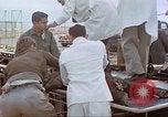 Image of bear on rocket sled test New Mexico United States USA, 1958, second 55 stock footage video 65675064985