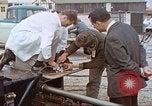 Image of bear on rocket sled test New Mexico United States USA, 1958, second 56 stock footage video 65675064985