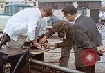 Image of bear on rocket sled test New Mexico United States USA, 1958, second 57 stock footage video 65675064985