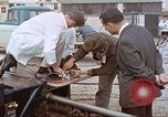 Image of bear on rocket sled test New Mexico United States USA, 1958, second 58 stock footage video 65675064985