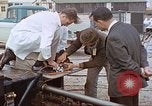 Image of bear on rocket sled test New Mexico United States USA, 1958, second 60 stock footage video 65675064985