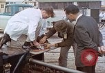 Image of bear on rocket sled test New Mexico United States USA, 1958, second 61 stock footage video 65675064985