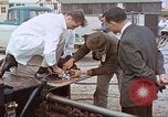 Image of bear on rocket sled test New Mexico United States USA, 1958, second 62 stock footage video 65675064985