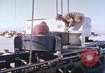Immagine di Airman Patterson New Mexico United States USA, 1958, secondo 35 filmato di repertorio 65675064990
