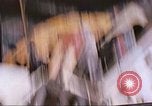 Immagine di Soggetti umani sottoposti a test su slitta a razzo New Mexico United States USA, 1958, secondo 48 filmato di repertorio 65675064993