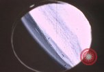 Image scènes atmosphérique New Mexico United States USA, 1957, de la seconde 24 séquences d'archives historiques vidéo 65675065018
