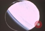 Image scènes atmosphérique New Mexico United States USA, 1957, de la seconde 53 séquences d'archives historiques vidéo 65675065018