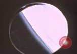 Image scènes atmosphérique New Mexico United States USA, 1957, de la seconde 59 séquences d'archives historiques vidéo 65675065018