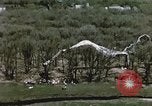 Immagine di Lancio del palloncino New Mexico United States USA, 1957, secondo 8 filmato di repertorio 65675065040