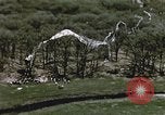 Immagine di Lancio del palloncino New Mexico United States USA, 1957, secondo 10 filmato di repertorio 65675065040
