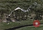 Immagine di Lancio del palloncino New Mexico United States USA, 1957, secondo 11 filmato di repertorio 65675065040