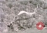 Immagine di Lancio del palloncino New Mexico United States USA, 1957, secondo 29 filmato di repertorio 65675065040