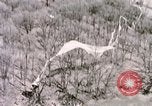 Immagine di Lancio del palloncino New Mexico United States USA, 1957, secondo 30 filmato di repertorio 65675065040