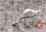 Immagine di Lancio del palloncino New Mexico United States USA, 1957, secondo 31 filmato di repertorio 65675065040