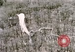 Immagine di Lancio del palloncino New Mexico United States USA, 1957, secondo 43 filmato di repertorio 65675065040
