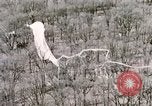 Immagine di Lancio del palloncino New Mexico United States USA, 1957, secondo 44 filmato di repertorio 65675065040