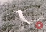 Immagine di Lancio del palloncino New Mexico United States USA, 1957, secondo 47 filmato di repertorio 65675065040