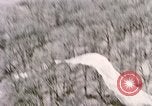Immagine di Lancio del palloncino New Mexico United States USA, 1957, secondo 54 filmato di repertorio 65675065040