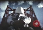 Immagine di Ape su slitta a razzo il test New Mexico United States USA, 1958, secondo 28 filmato di repertorio 65675065061